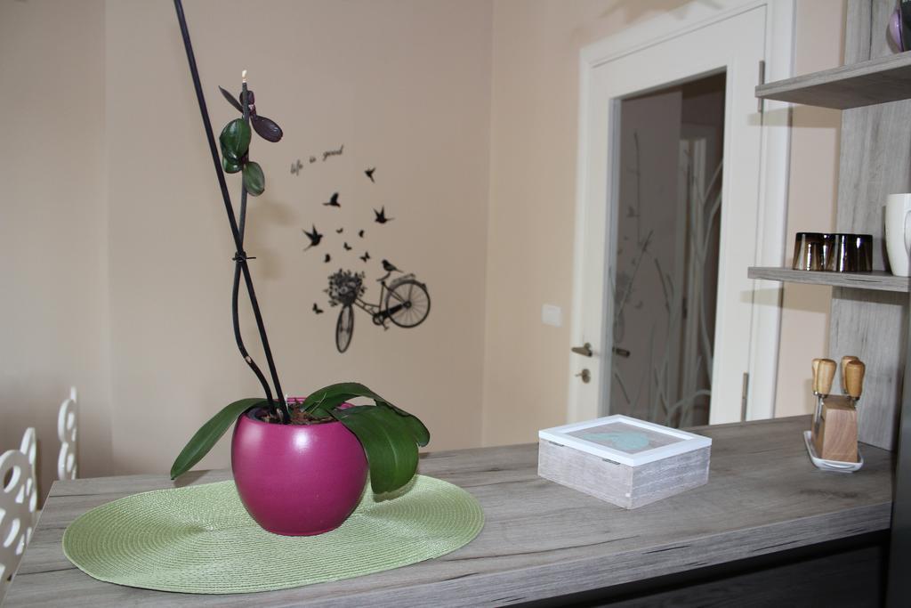 Apartament Orchid House Belgrad Zewnętrze zdjęcie